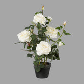 Fehér színű, élethű megjelenésű, mű rózsabokor, fekete műanyag cserépben.